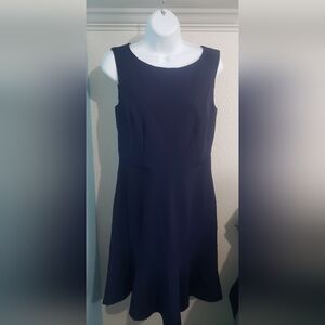 Lark & Ro Sleeveless Fit & Flare dress size 10